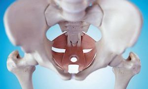 Pelvic physical therapy: Another potential treatment option