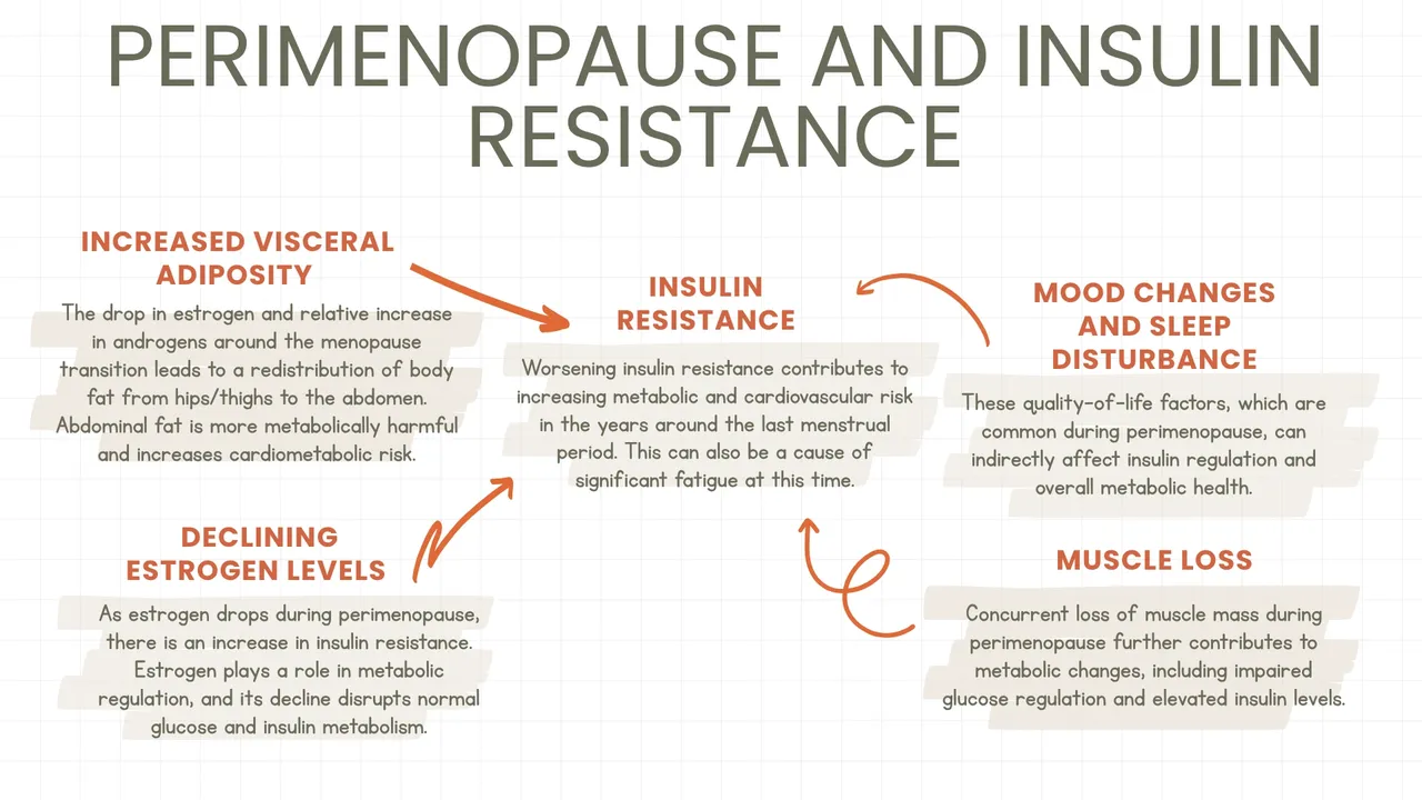 Woman in perimenopause learning about insulin resistance and metabolic health